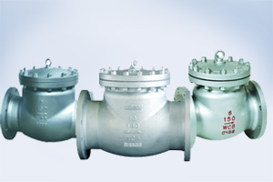 Check Valve