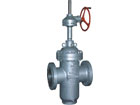 Slab Gate Valve
