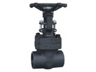 Forged Steel Gate Valve