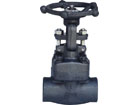 Forged Steel Gate Valve