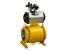 Forged Trunnion Mounted Ball Valve